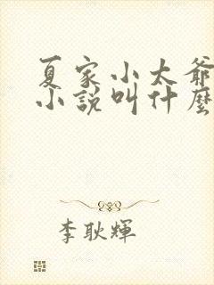 夏家小太爷原著小说叫什么名字