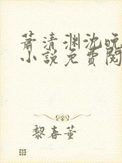 萧清渊沈晚棠的小说免费阅读封面