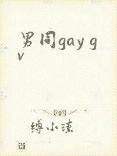男同gay gv