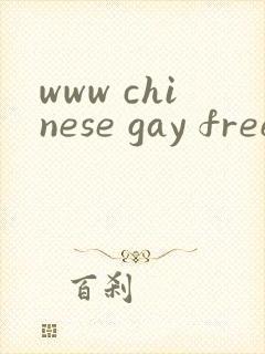 www chinese gay free封面