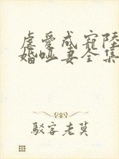 虐爱成宠陆总新婚哑妻全集封面