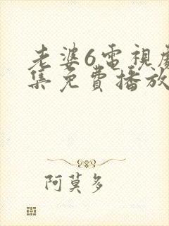老婆6电视剧全集免费播放西瓜