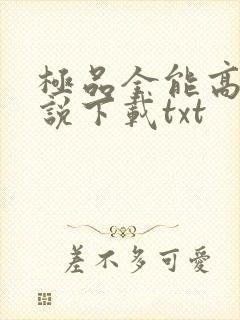 极品全能高手小说下载txt