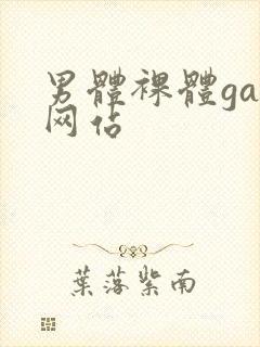 男体裸体gay网站