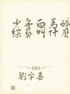 少年白马醉春风综艺叫什么