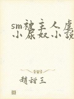 sm被主人虐玩小尿奴小说