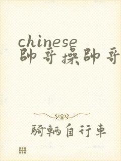 chinese帅哥操帅哥网站