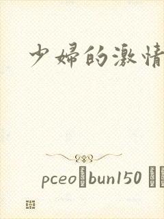 少妇的激情小说