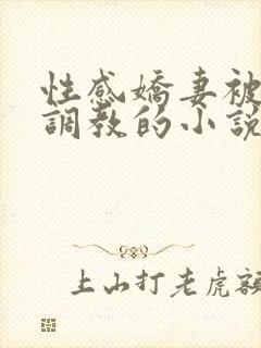 性感娇妻被上司调教的小说封面