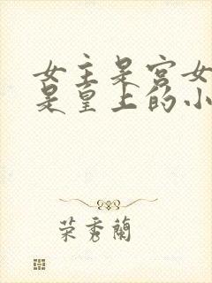 女主是宫女男主是皇上的小说