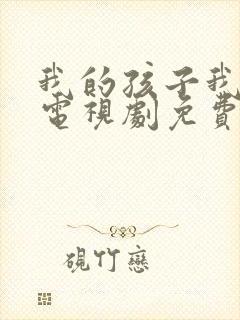 我的孩子我的家电视剧免费观看全集封面