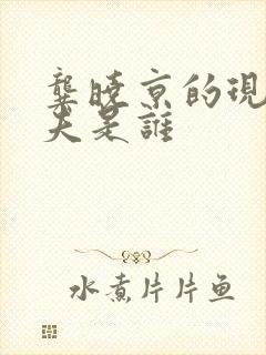 龚晓京的现任丈夫是谁