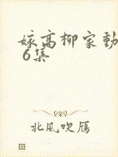 嫁高柳家动漫1 6集