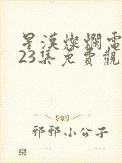 星汉灿烂电视剧23集免费观看