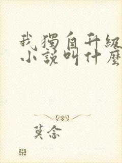 我独自升级原著小说叫什么