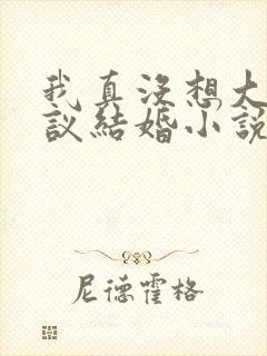 我真没想大佬协议结婚小说