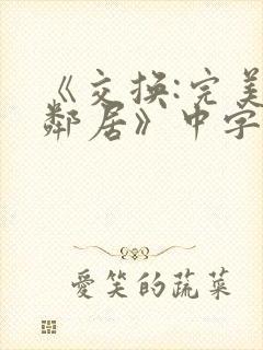 《交换:完美的邻居》中字