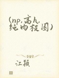 (np,高h,纯肉校园)