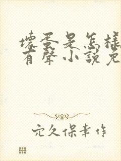坏蛋是怎样炼成有声小说免费听封面
