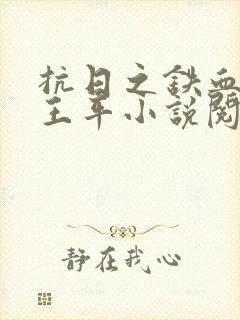 抗日之铁血智将王平小说阅读