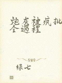炮灰被疯批爱的全过程