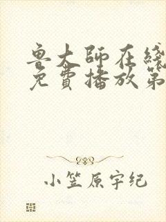 鲁大师在线观看免费播放第二季