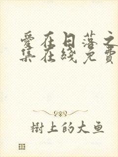 爱在日落之前全集在线免费观看封面