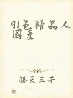 91色精品人妻国产