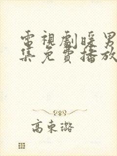 电视剧暖男记全集免费播放