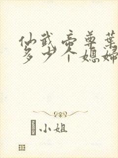 仙武帝尊叶辰有多少个媳妇封面