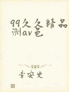 99久久精品亚洲av色