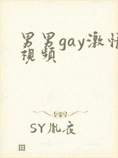 男男gay激情视频