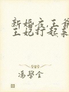 新婚夜,王爷和王妃打起来了完整版
