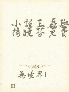 小说王磊与后妈杨晓芬免费阅读