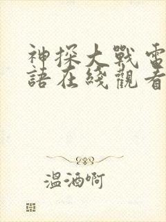 神探大战电影国语在线观看免费完整版