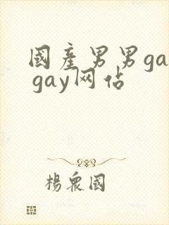 国产男男gay gay网站
