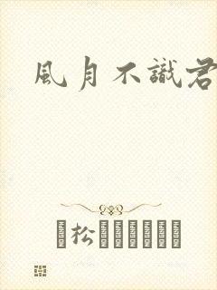 风月不识君短剧