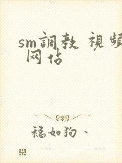sm调教 视频 网站
