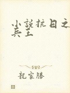 小说抗日之特战兵王