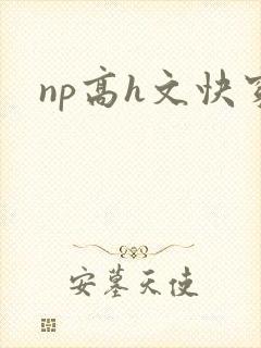 np高h文快穿