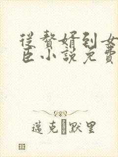 从赘婿到女帝宠臣小说免费下载完整版封面