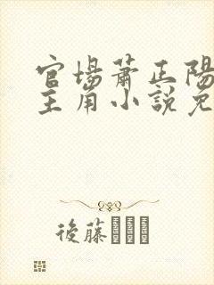 官场萧正阳李冰主角小说免费阅读