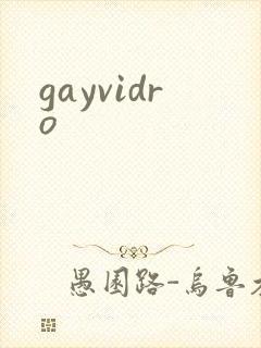 gayvidro