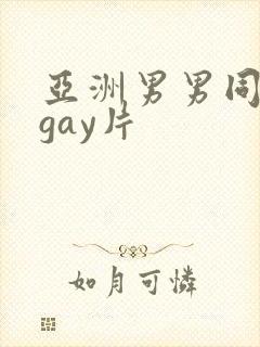 亚洲男男同性恋gay片