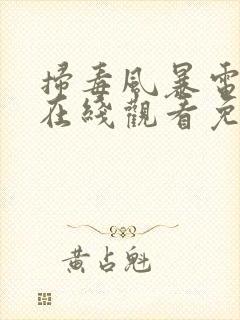 扫毒风暴电视剧在线观看免费全集高清