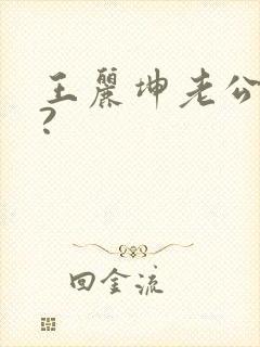 王丽坤老公是谁?