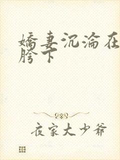 娇妻沉沦在他人胯下封面