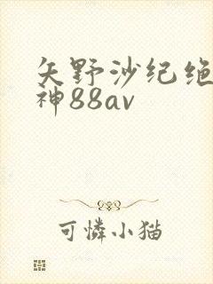 矢野沙纪绝顶女神88av封面