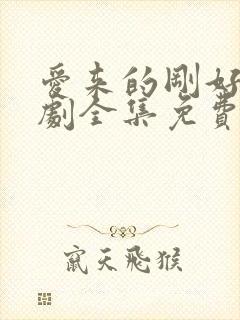 爱来的刚好电视剧全集免费观看完整版