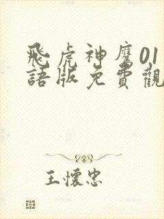 飞虎神鹰01国语版免费观看